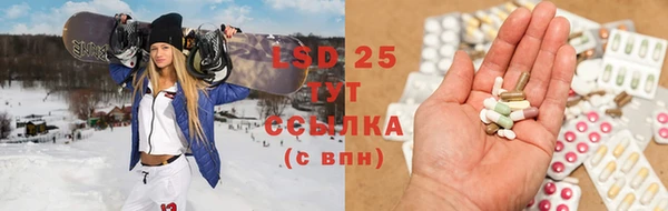 ПСИЛОЦИБИНОВЫЕ ГРИБЫ Балахна