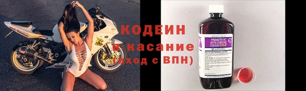 прущие грибы Баксан